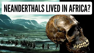 250,000 Years Ago Did Neanderthals Migrate to Africa?