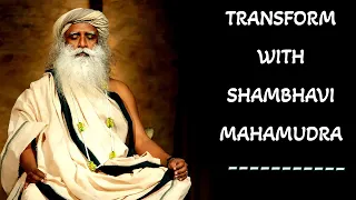 Sadhguru - After Shambhavi Mahamudra Everything around you will Respond Differently