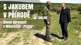 S Jakubem v přírodě online - České Serengeti v Milovicích - Pratur