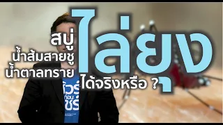 ชัวร์ก่อนแชร์ : สูตรไล่ยุง ด้วย สบู่+น้ำส้มสายชู+น้ำตาลทราย ใช้ได้จริงหรือ ?