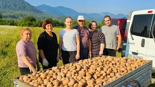 🇺🇦🥔ЖИТТЯ В СЕЛІ. ЗБИРАЄМО КАРТОПЛЮ У МОЇХ БАТЬКІВ. ДЯКУЄМО БОГУ ЗА ЧУДОВИЙ УРОЖАЙ 2023.🥔🇺🇦