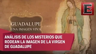 Guadalupe: Una Imagen Viva (Programa Competo)