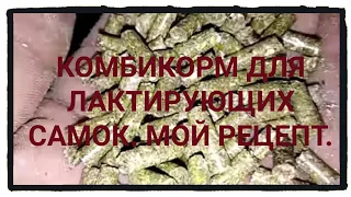 Полнорационный комбикорм для лактирующих самок. Мой рецепт.