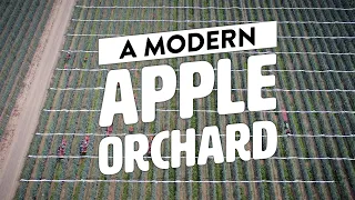 JK1 - A Modern Apple Orchard