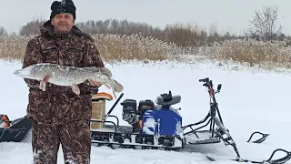 Мотобуксировщик Лидер, застряли и еле выехали