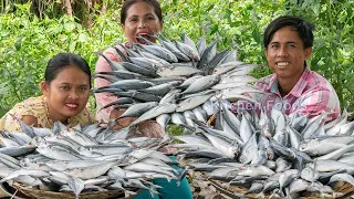 Cooking 50 KG Sea Frozen Mackerel Fish with Tomatoes Recipe for Donation Food in my Village