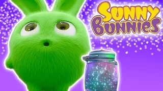 Cartoons ★ Sunny Bunnies - FIREFLIES - 1 Hour Special ★ Cartoons for Babies