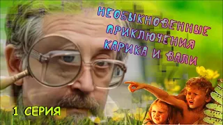 Необыкновенные приключения Карика и Вали 1 серия