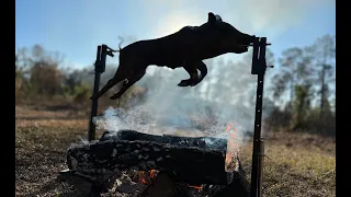 Wild Pig Hunt And Rotisserie Over the Fire! SO GOOD!