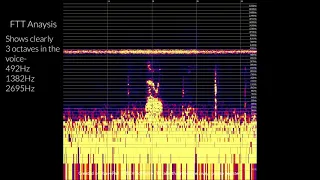 The Round Valley Sabe / Sasquatch Vocalizations