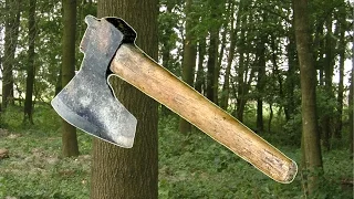 Wycinka drzewa na łuk