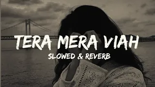 Tera Mera Viah [slowed & reverb] Punjabi Lofi song AlphaMan Editz slowed & reverb music jass manak
