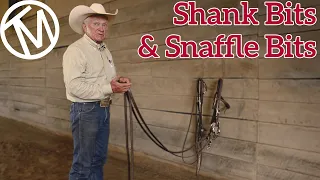 Comparing the Shank and Snaffle Bits - Terry Myers