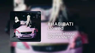 Пошлая Молли, HOFMANNITA - #HABIBATI (slowed+reverb)