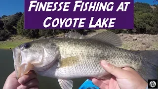 Finesse Fishing for Coyote Lake Bass (Productive Day)