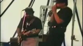 Billy Branch / Joe Louis Walker / Matt "Guitar" Murphy / Bring It on Home (1999)