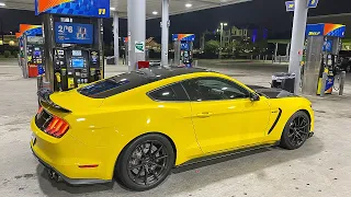 LATE NIGHT SHELBY GT350 POV DRIVE