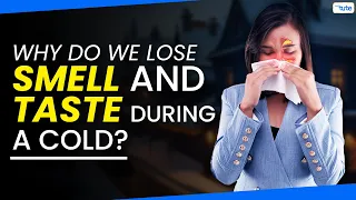 Why Do We Lose Smell and Taste During Cold | Reason Behind Lost Smell👃| Letstute
