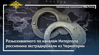 Ирина Волк: Разыскиваемого по каналам Интерпола россиянина экстрадировали из Черногории