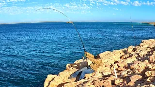 One of Australia's Most Epic Fishing Spots Camping and Fishing the Cliffs! EP1
