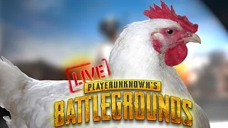 PlayerUnknown's Battlegrounds - Who stole my chicken ? (LIVE STREAM)