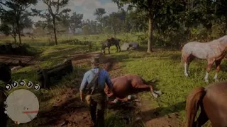 Horse Falls From Sky RDR2