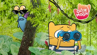 The Malaysian butterfly chase | Ollie and Moon | Full episode | Season 1 | Cartoons for Kids