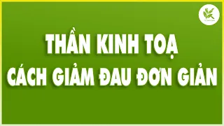 3 Bước Cải Thiện Bệnh ĐAU LƯNG | ĐAU THẦN KINH TỌA | Bấm Vào Là Giảm Nhiều | TCL