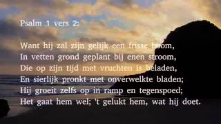 Psalm 1 vers 1, 2 en 4 - Welzalig hij, die in der bozen raad