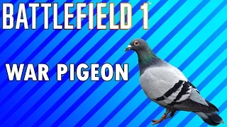 Battlefield 1- Killing the Pigeons! - Killtage