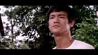 Bruce Lee - 6/12 - O Dragão Chinês (1971)