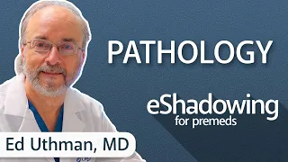 How to Become a Pathologist with Ed Uthman, MD | eShadowing for Premeds Ep. 21