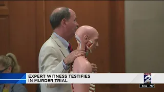 Expert witness testifies in murder trial