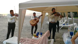 MARIACHI DE ACAPULCO TOCANDO CELOS SERENATA PLAYA DIAMANTE. TEL 744-250-2305 WHATSAPP 744-469-7988.