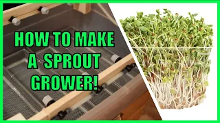 HOW TO MAKE A SPROUT GROWER (step-by-step tutorial) | FULLY AUTOMATED! |