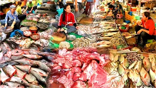 Amazing Cambodian Mixed Market Food. Daily Food, Fish, Vegetables, Pork l Fish Market