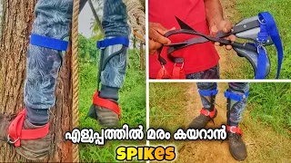 മരം കയറാൻ ഒരു കിടിലൻ Tool 😲🤩 | Spikes | Easy tree climbing tool | 9645599324/Village woodpecker