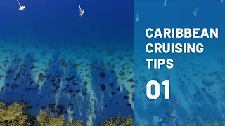 Highlights! Weather Routing and Immigration TIPS when sailing the Caribbean: Part 1