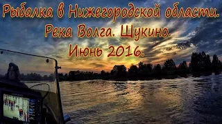 Рыбалка в Нижегородской области. Река Волга. Щукино. Июнь 2016