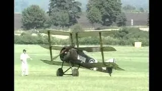 OLD WARDEN SUN 3rd AUG 2003