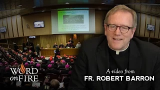 Bishop Barron on the Synod on the Family