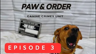 Paw and Order - Episode 3