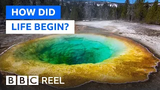 Unravelling the mystery of how life began on Earth - BBC REEL