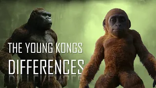 MINI KONG & Kong (2017) Size & Differences Explained