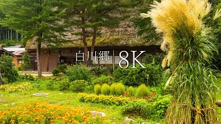 [Shirakawa-go at the end of summer] 14 spectacular views of unexplored villages - JAPAN in 8K