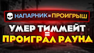 УМЕР ТИММЕЙТ = ПРОИГРАЛ РАУНД В CS:GO