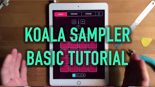 Koala Sampler Basic Tutorial