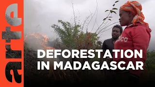 Madagascar: Fire Island I ARTE.tv Documentary