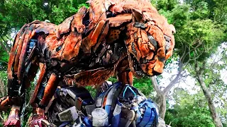 La unión de Maximals 🔥 | Transformers: El Despertar De Las Bestias | Clip en Español
