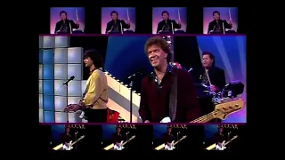 Die Flippers - Lotosblume (ZDF-Hitparade 13.12.1989)